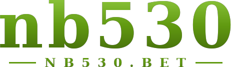 nb530 logo